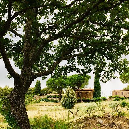 Villa Nocini Di Maremma Tatti Exterior foto