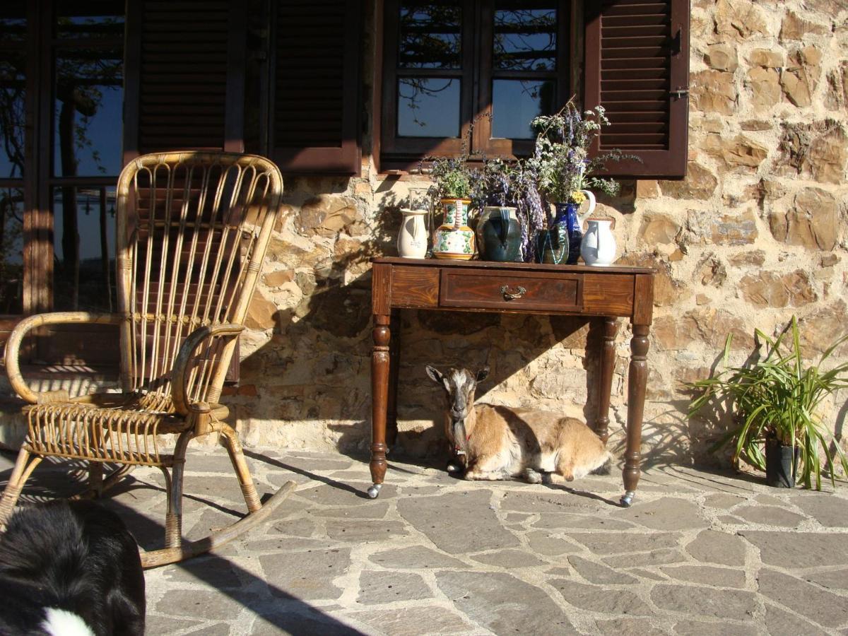 Villa Nocini Di Maremma Tatti Exterior foto