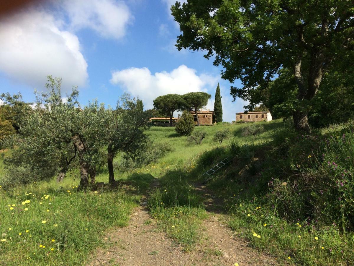Villa Nocini Di Maremma Tatti Exterior foto